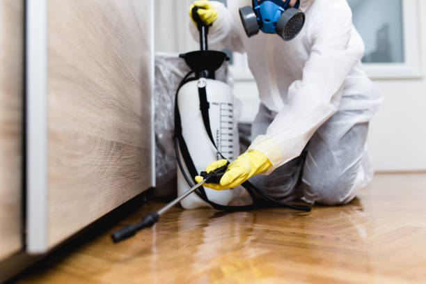 Best Best Pest Control Companies  in Thedral City, CA