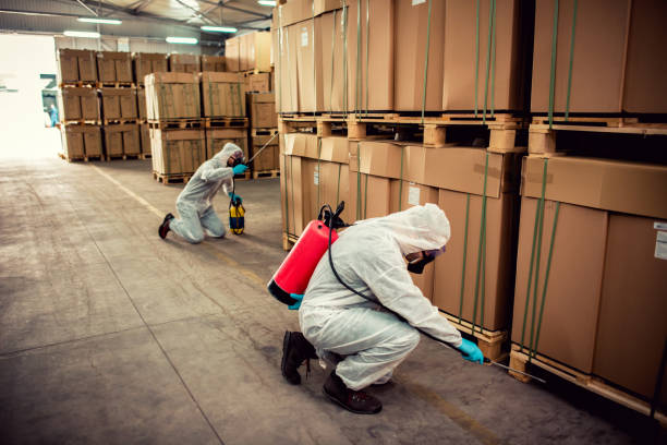 Best Cockroach Control Services  in Thedral City, CA