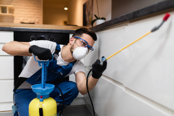 Best Best Pest Control Near Me  in Thedral City, CA
