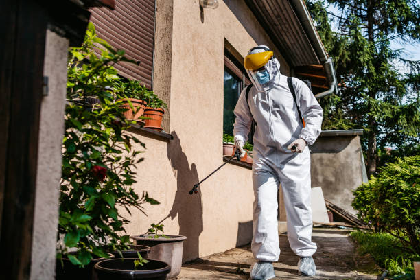 Pest Control for Restaurants in Cathedral City, CA