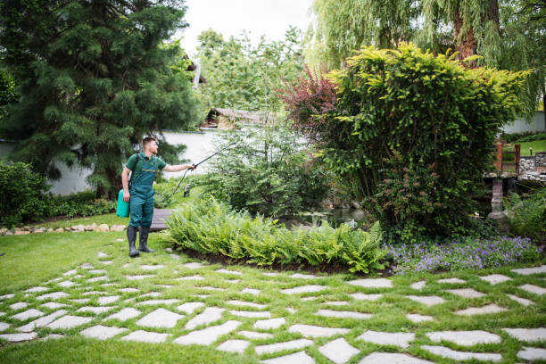Best Ant Control Services  in Thedral City, CA