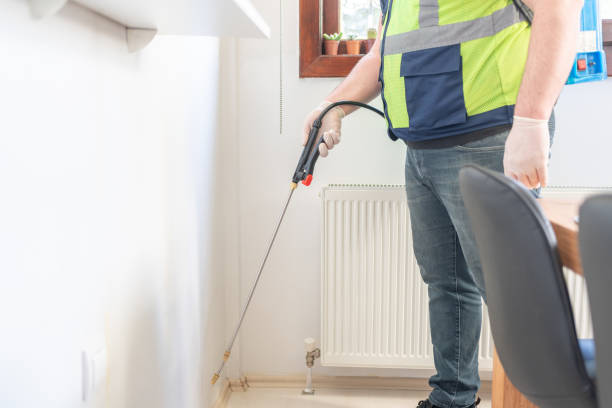 Flea Control Services in Cathedral City, CA